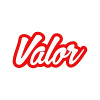Senior Flutter Developer